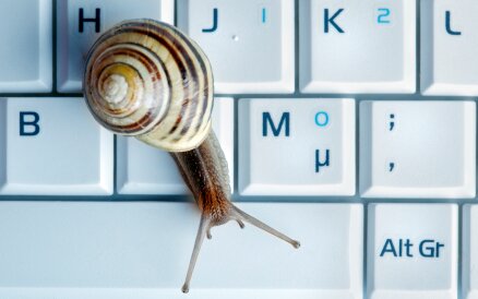 Close up of a snail on a laptop
